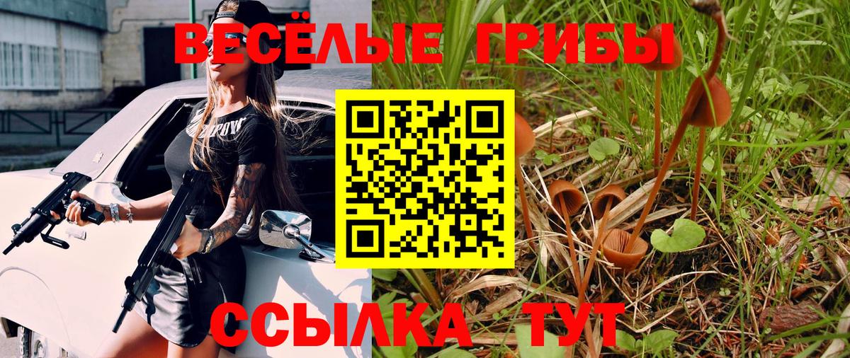 Псилоцибиновые грибы MAGIC MUSHROOMS  Галлюциногенные грибы Cubensis  Туапсе  Вход с VPN 